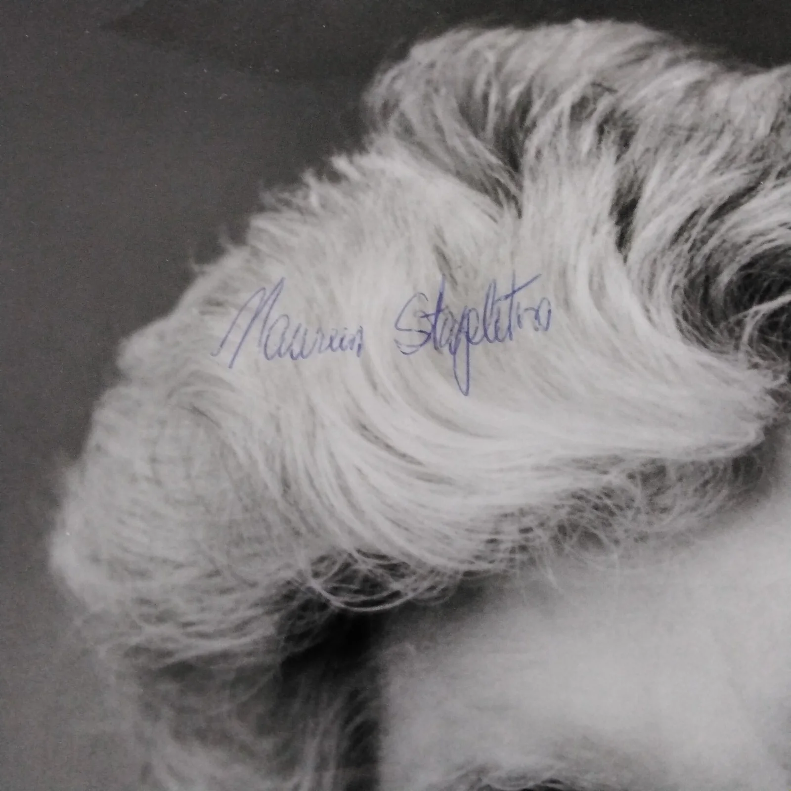 Maureen Stapleton SIGNED Photo Movie Stage TV Actress Reds All The Kings Men, изображение 2