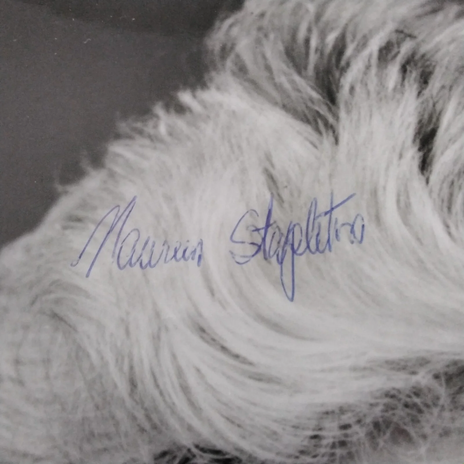 Maureen Stapleton SIGNED Photo Movie Stage TV Actress Reds All The Kings Men, изображение 3