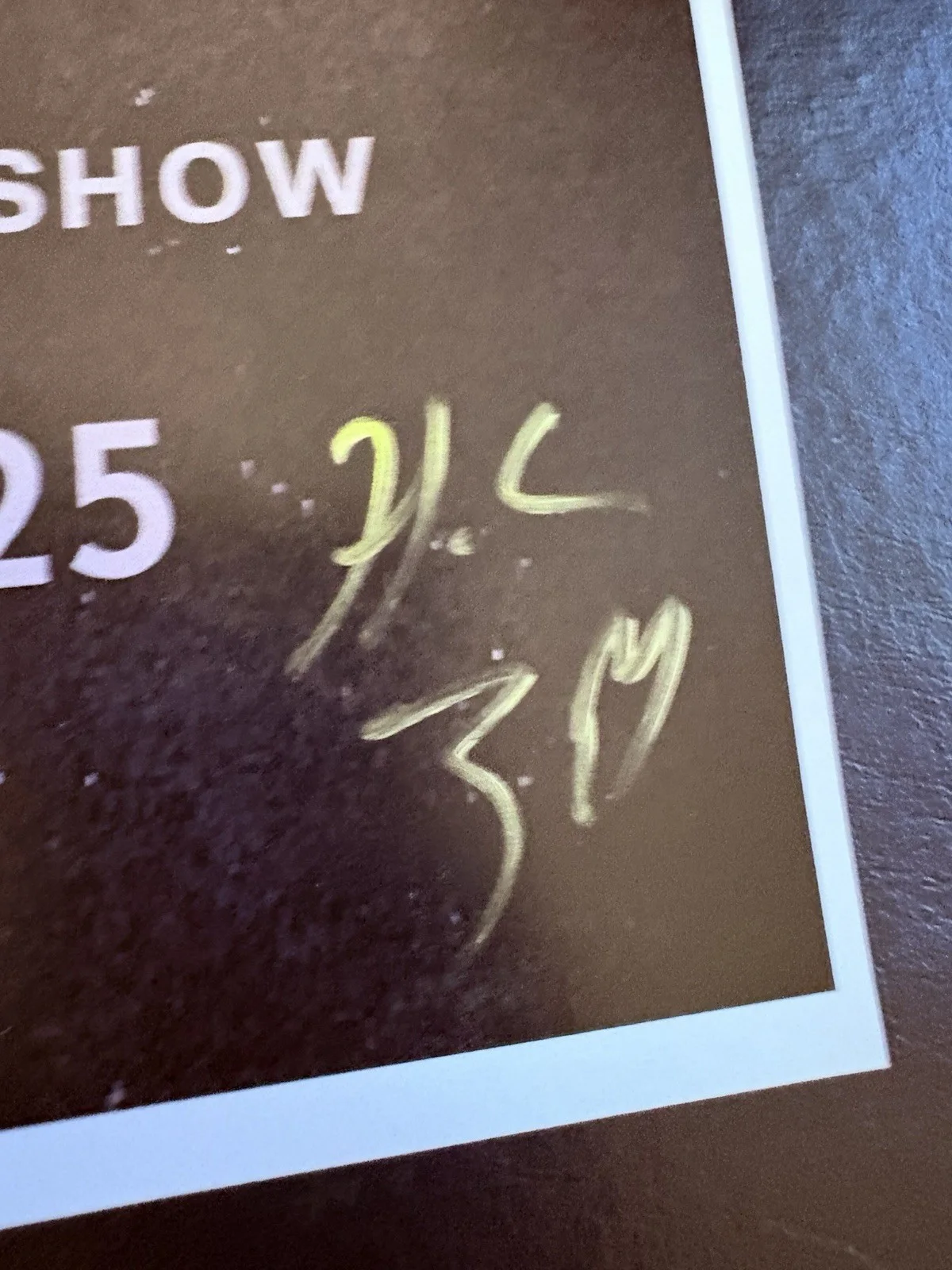 Leprous- Authentic Hand Signed Poster- 10Th Anniversary Show. ￼, image 3