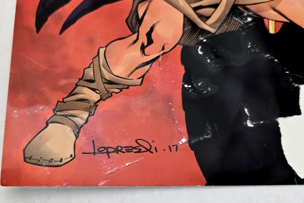 Gail Simone — Conan The Barbarian Wonder Woman Dual Signed Autographed Poster 17 x 11 in READ, изображение 2