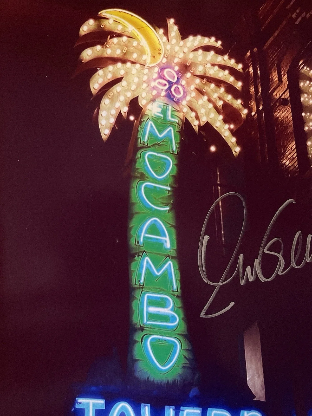 ELVIS COSTELLO, Hand signed 8x11 photo- The Attractions - Grammy Award Winner, изображение 3
