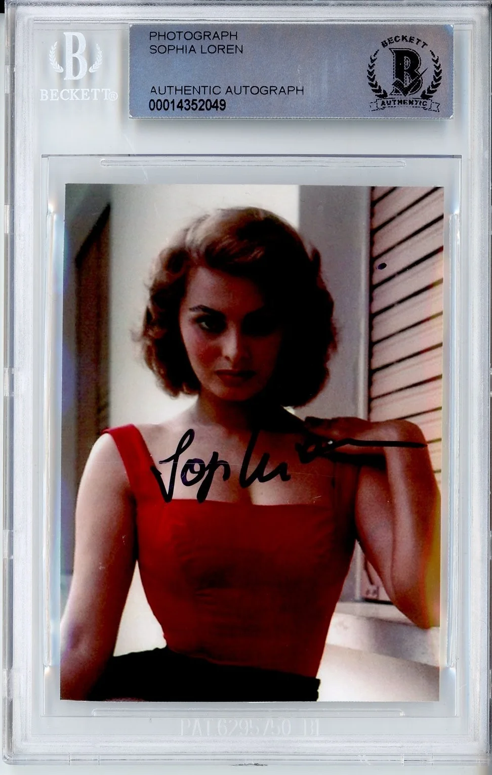 Sophia Loren — SOPHIA LOREN AUTOGRAPHED PHOTO BAS BECKETT COA SIGNED SEXY LINGERIE PHOTOGRAPH
