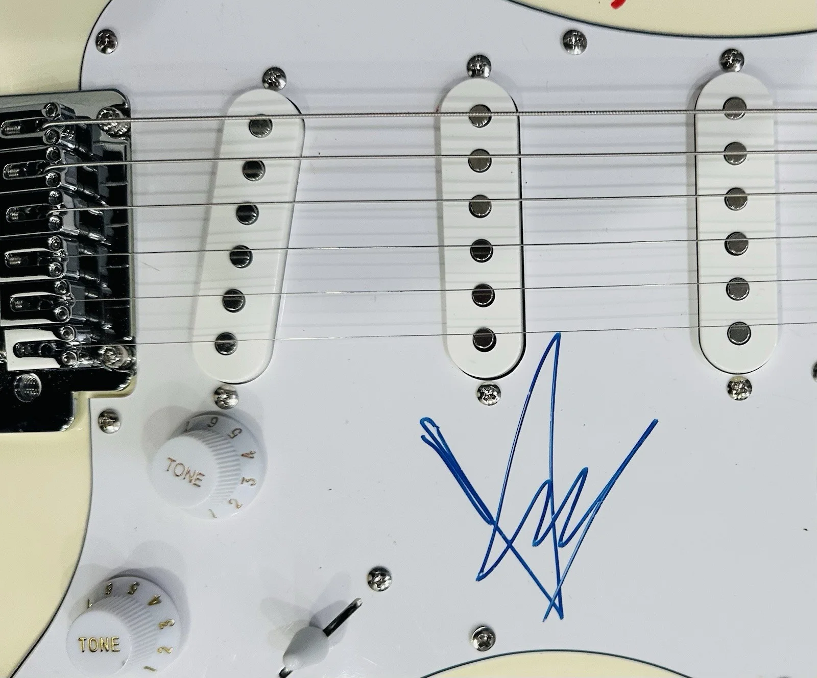 Soundgarden Signed Guitar Kim Thayil Shepherd Cameron Chris Cornell Signed Proof, изображение 4