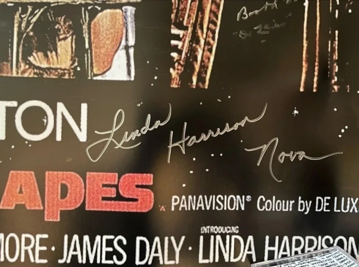 Linda Harrison — PLANET OF THE APES Signed Linda Harrison (nova) 24x36 Movie Poster JSA, изображение 2