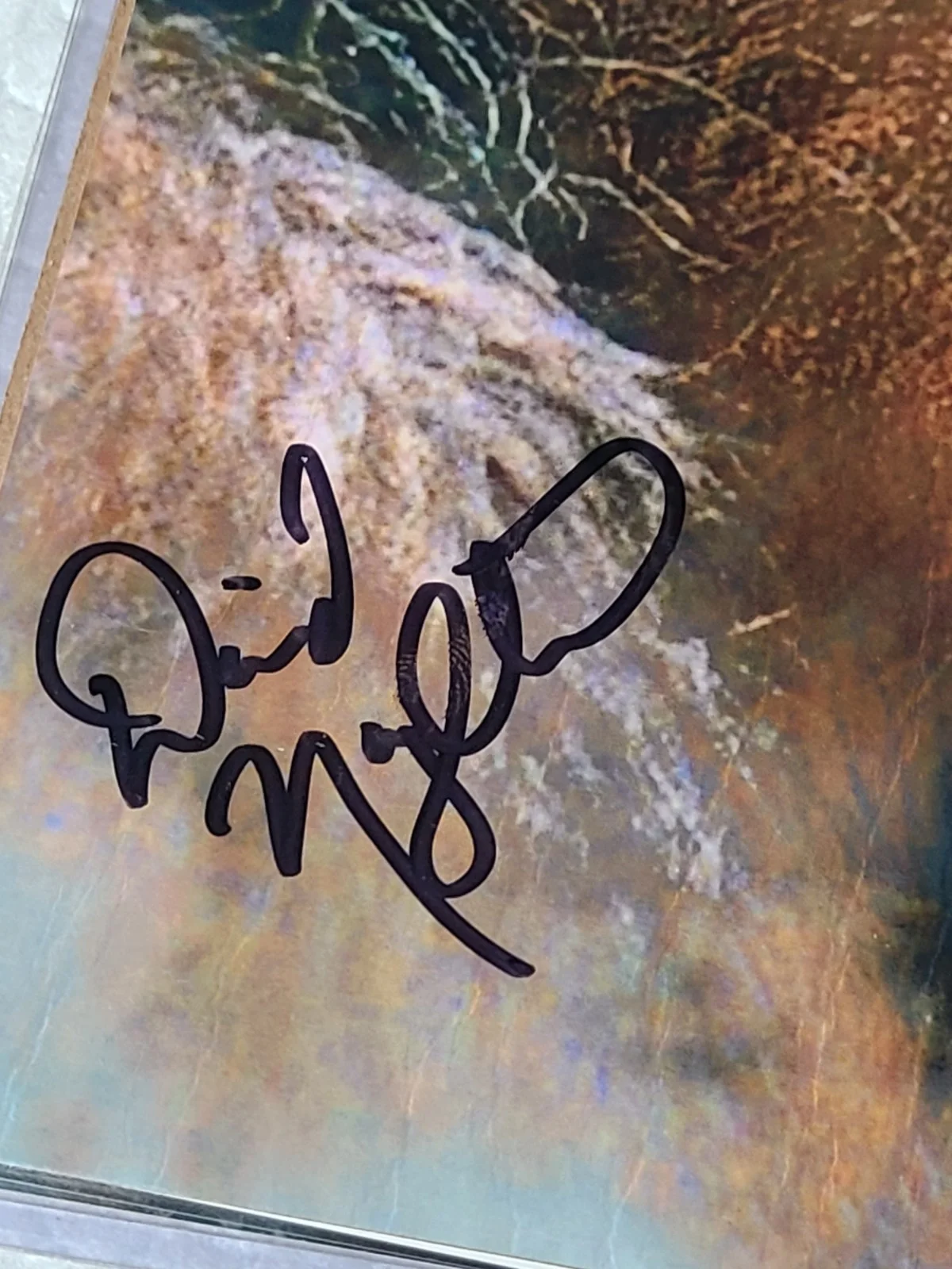 David Naughton — David Naughton American Werewolf In London Autograph & COA, изображение 3