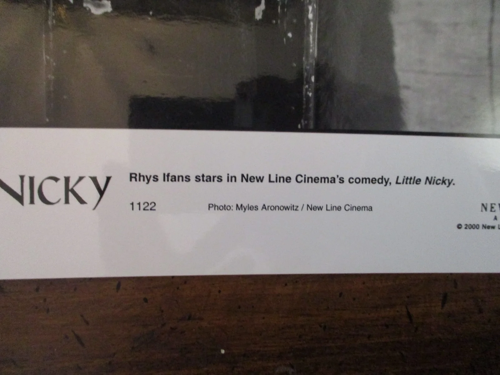 Rhys Ifans ("LITTLE NICKY") 2000 8 x 10 Glossy Black and White Press Photo, image 2