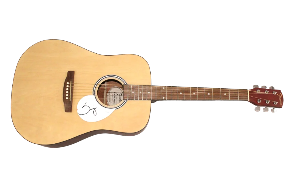 Serj Tankian — Serj Tankian SOAD Signed Autograph Fender Acoustic Guitar - Toxicity w/ JSA COA, image 2