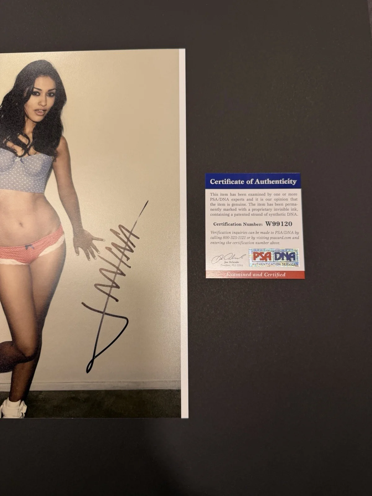 Janina Gavankar signed 8x10 PSA/DNA COA, image 2
