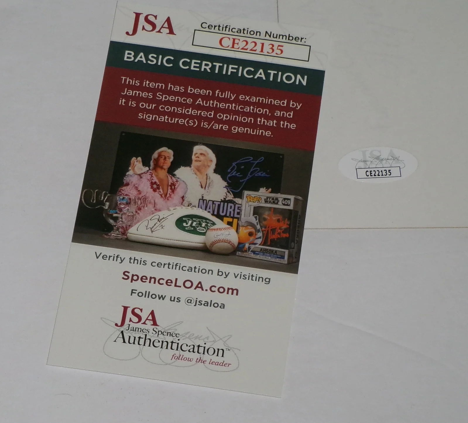 Leslie Easterbrook — Leslie Easterbrook 11x14 Color Photo SIGNED JSA CERT Devil's Rejects, image 3