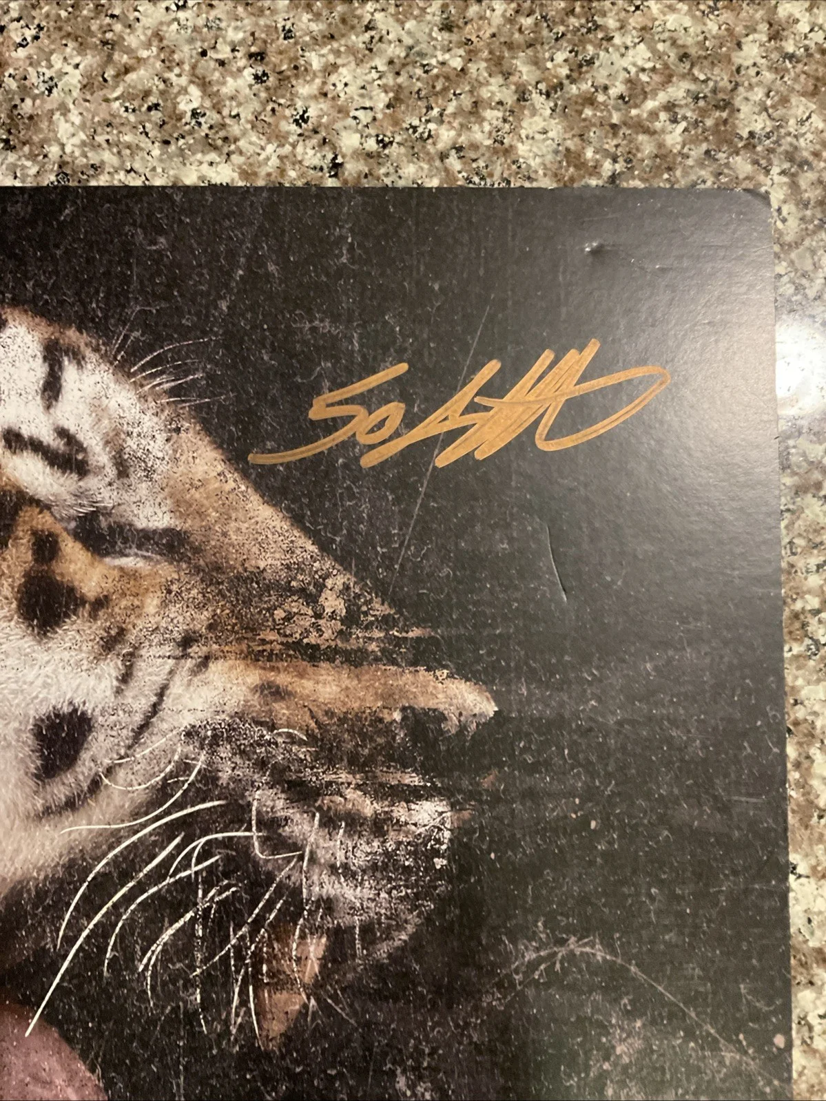 Curtis Jackson Aka 50 Cent Signed ANIMAL AMBITION 12.5x12.5 Poster Auto No Coa, image 3