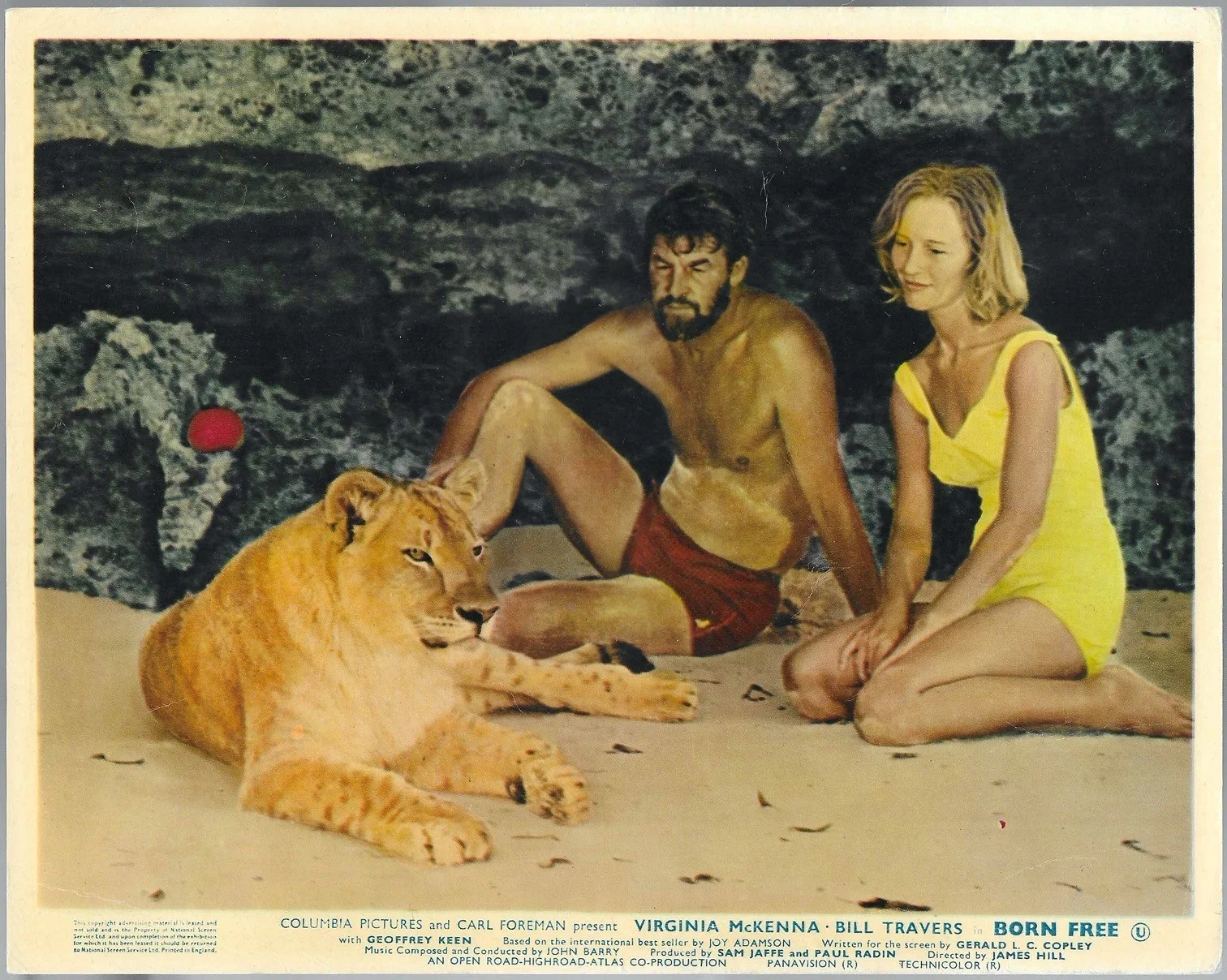 Born Free 8x ORIGINAL UK FOH Lobby Cards Virginia McKenna Bill Travers 1966, изображение 3
