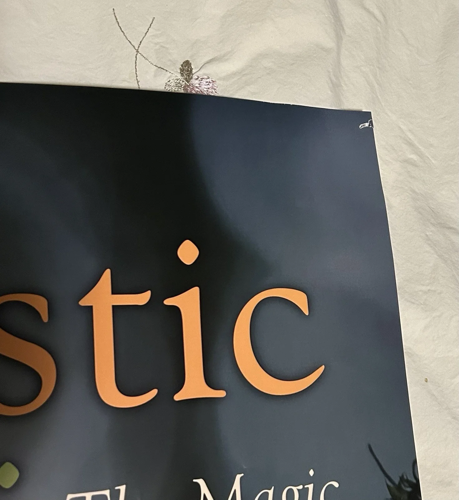 Fantastic Fungi Movie Poster Signed By Louie Schwartzberg, Director Good Condit, изображение 4