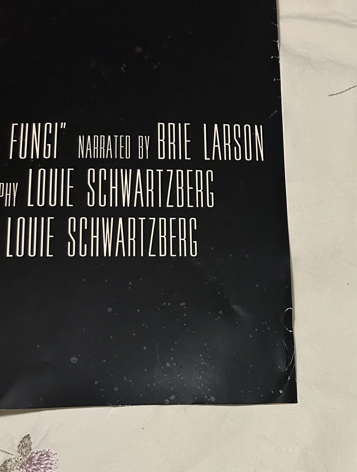 Fantastic Fungi Movie Poster Signed By Louie Schwartzberg, Director Good Condit, изображение 5