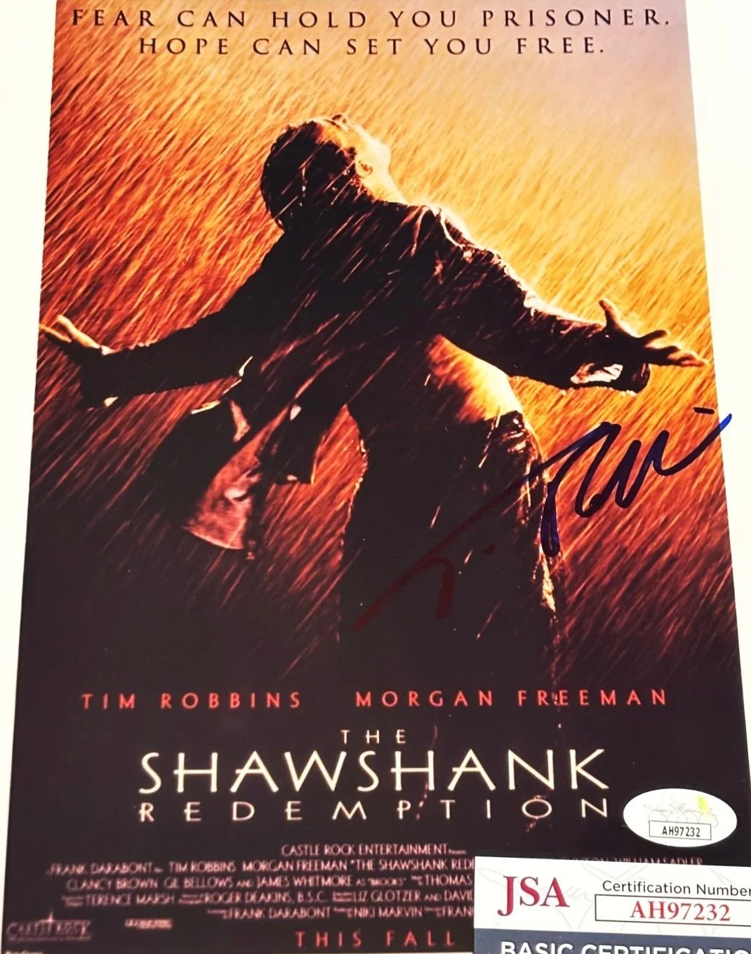 Tim Robbins — The Shawshank Redemption - Tim Robbins Signed 8x10 Photo With JSA COA Andy