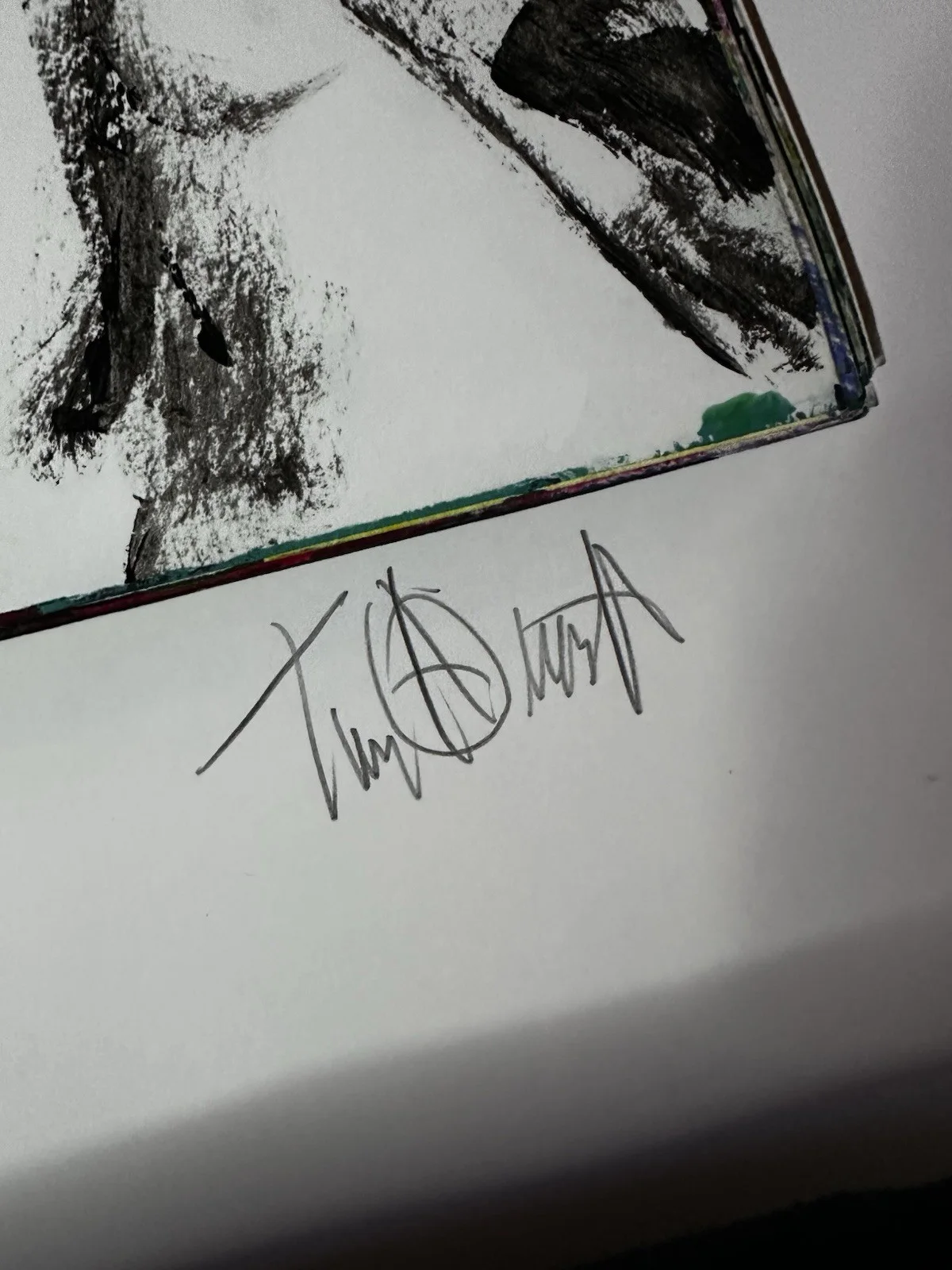 Tim Armstrong Print - Punks Not Dead 64/100 Signed and Numbered COA Rare Rancid, image 3