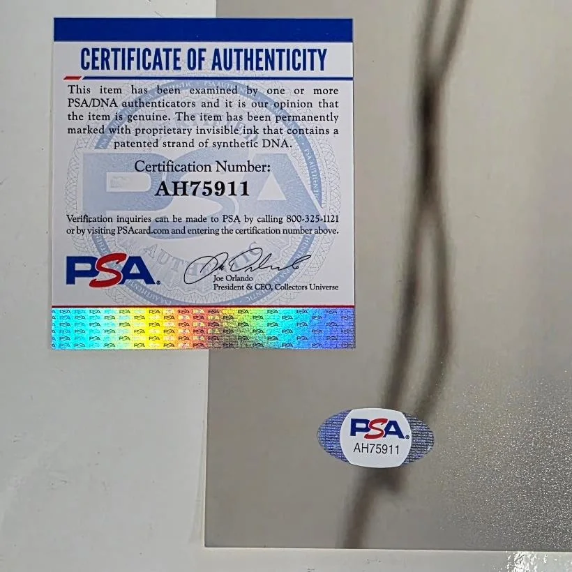 Amber Heard signed Explicit 16x20 Photo Autograph Sexy (A) ~ PSA COA, изображение 3