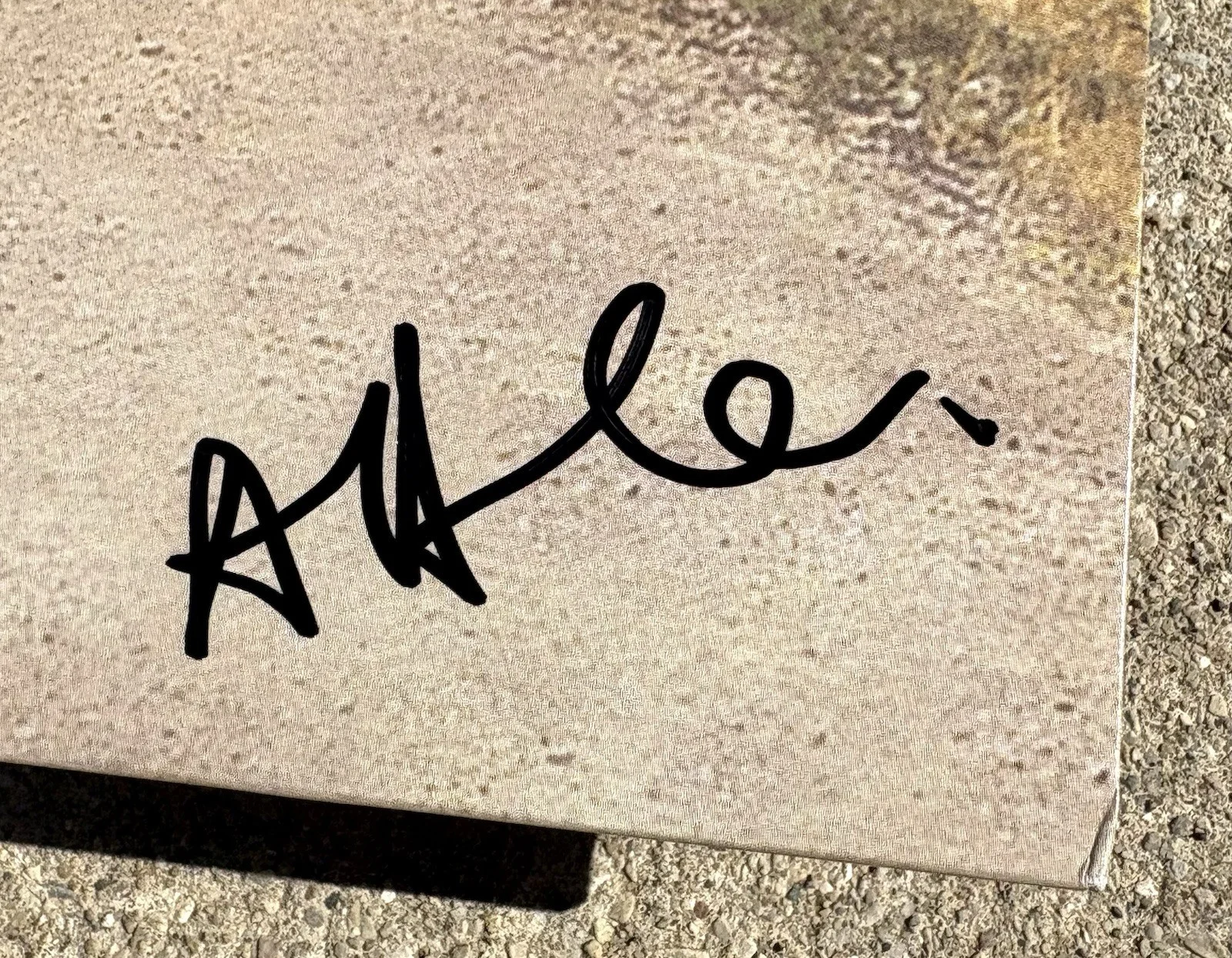 TAKING BACK SUNDAY SIGNED Vinyl JSA COA Where You Want To Be, изображение 2