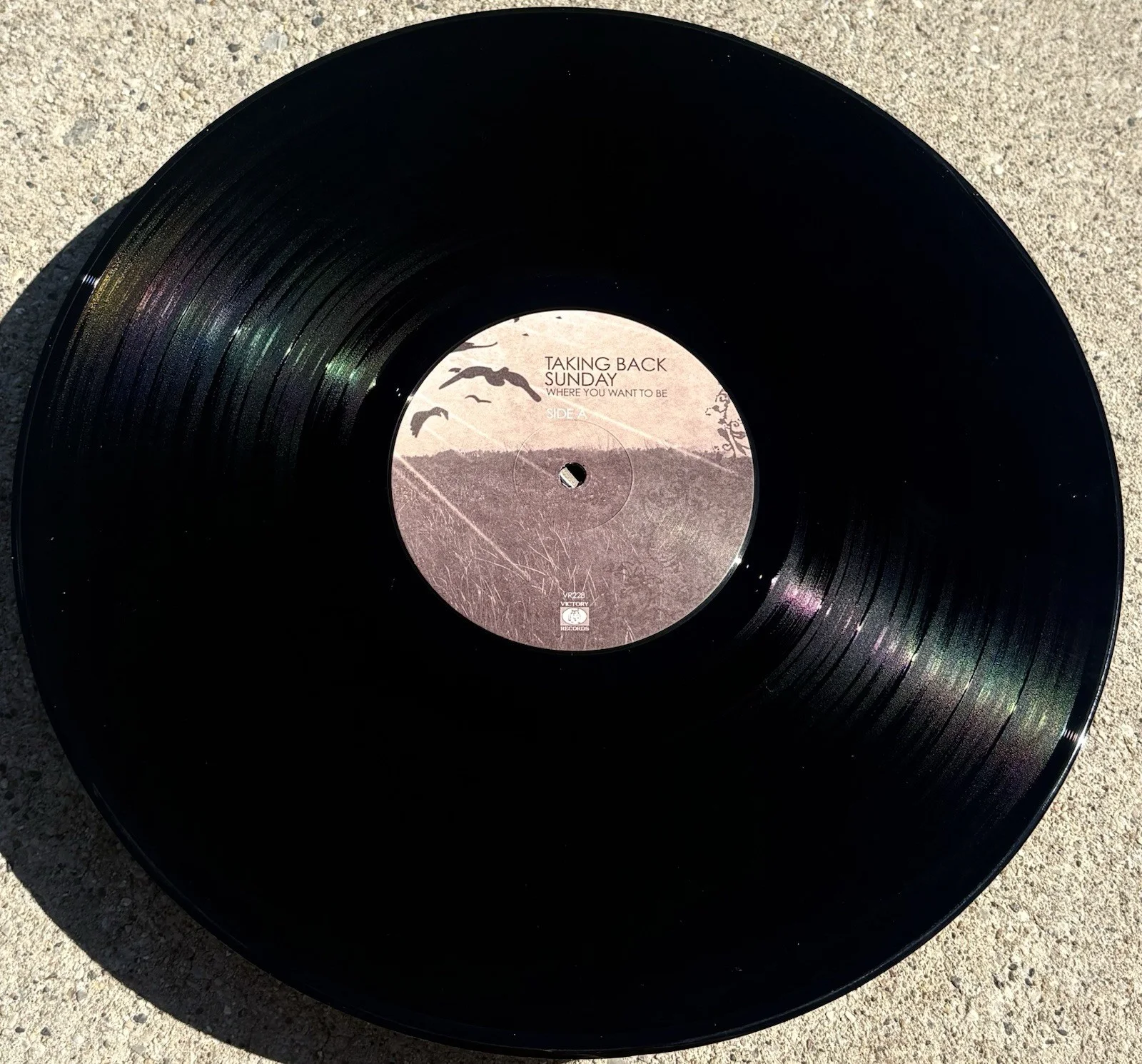 TAKING BACK SUNDAY SIGNED Vinyl JSA COA Where You Want To Be, изображение 5