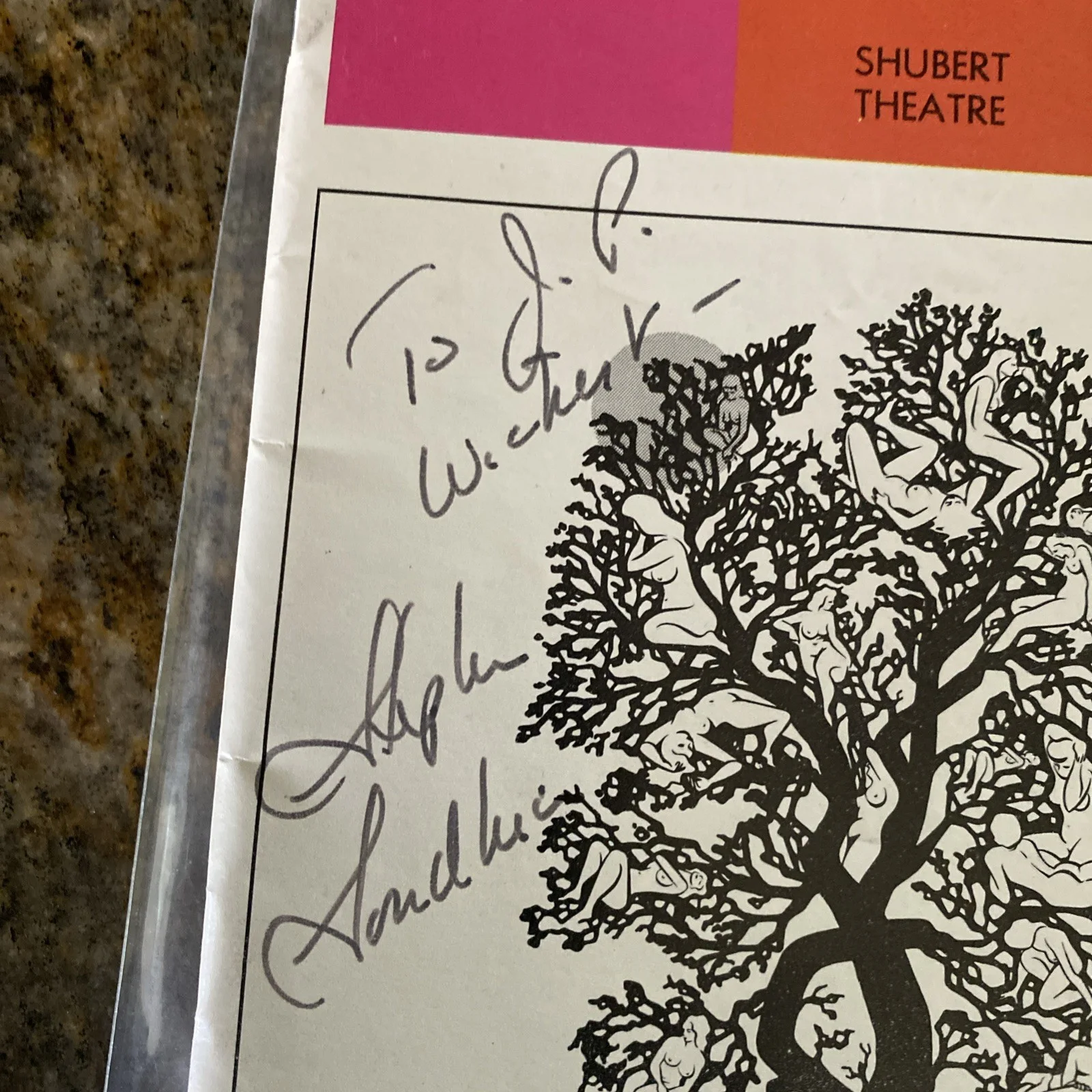 A Little Night Music playbill SIGNED by Stephen Sondheim 1973 Shubert Theatre, image 2