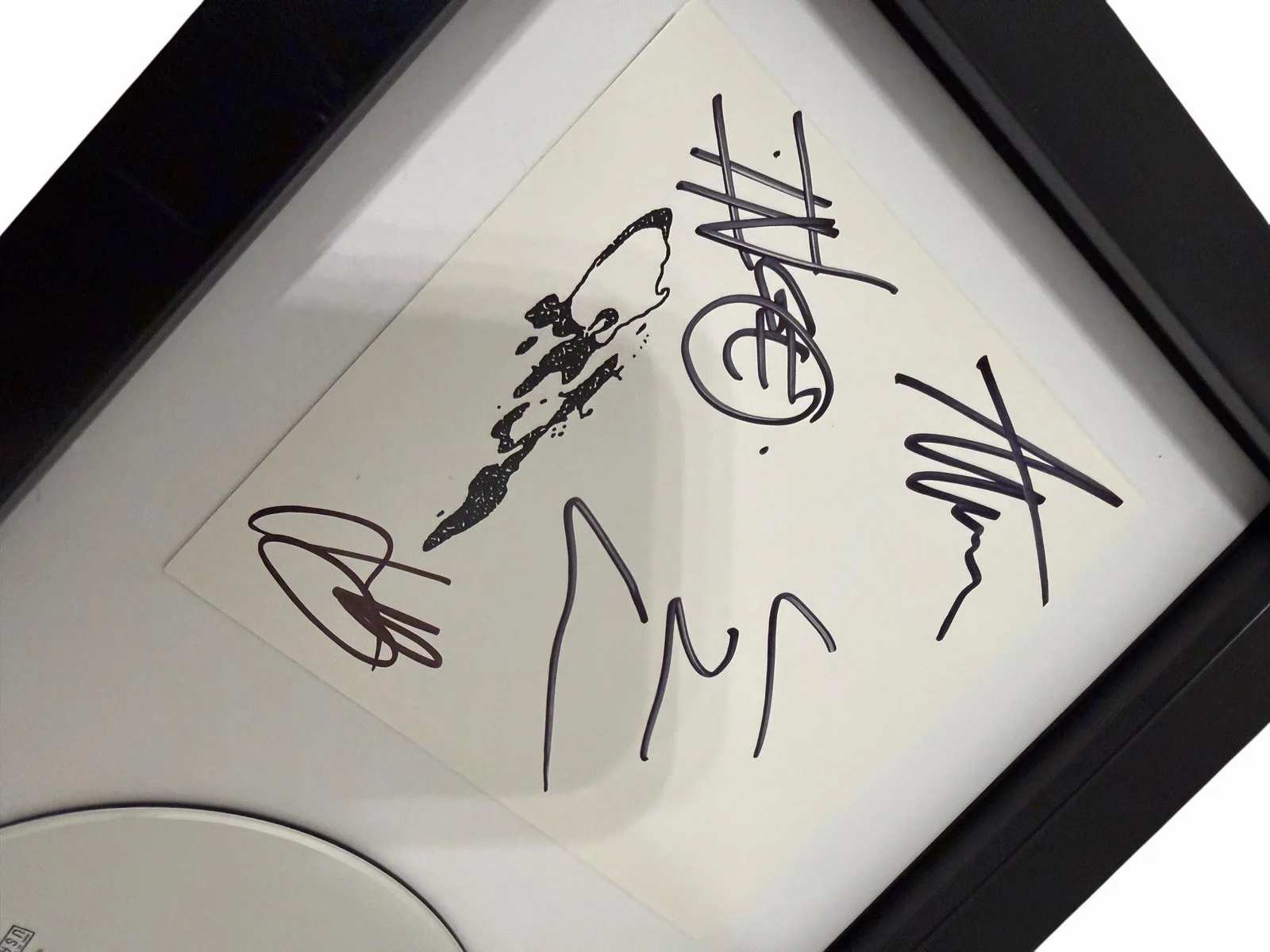 AGAINST ME! SIGNED AUTOGRAPH x4 SHAPE SHIFT WITH ME FRAMED CD LAURA JANE GRACE, изображение 4
