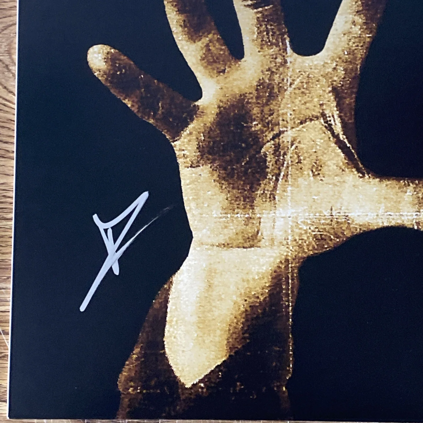 Daron Malakian Autographed ‘Self-Titled’ Vinyl Album System Of A Down, image 2