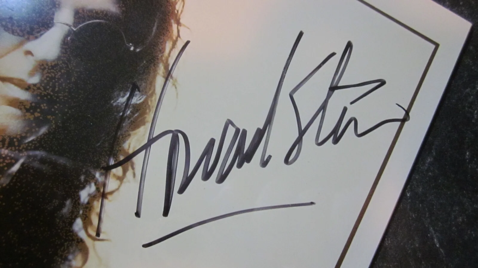 HOWARD STERN AUTOGRAPHED FRAMED 8X10 PROMO PHOTO (SEE DESCRIPTION) 01142024, image 2