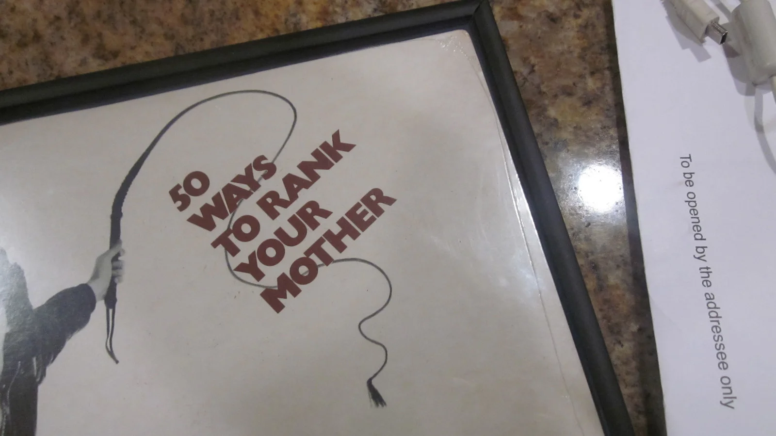 HOWARD STERN FRAMED L.P. RECORD 50 WAYS TO RANK YOUR MOTHER 1982 (FACTORY SEALED, изображение 4