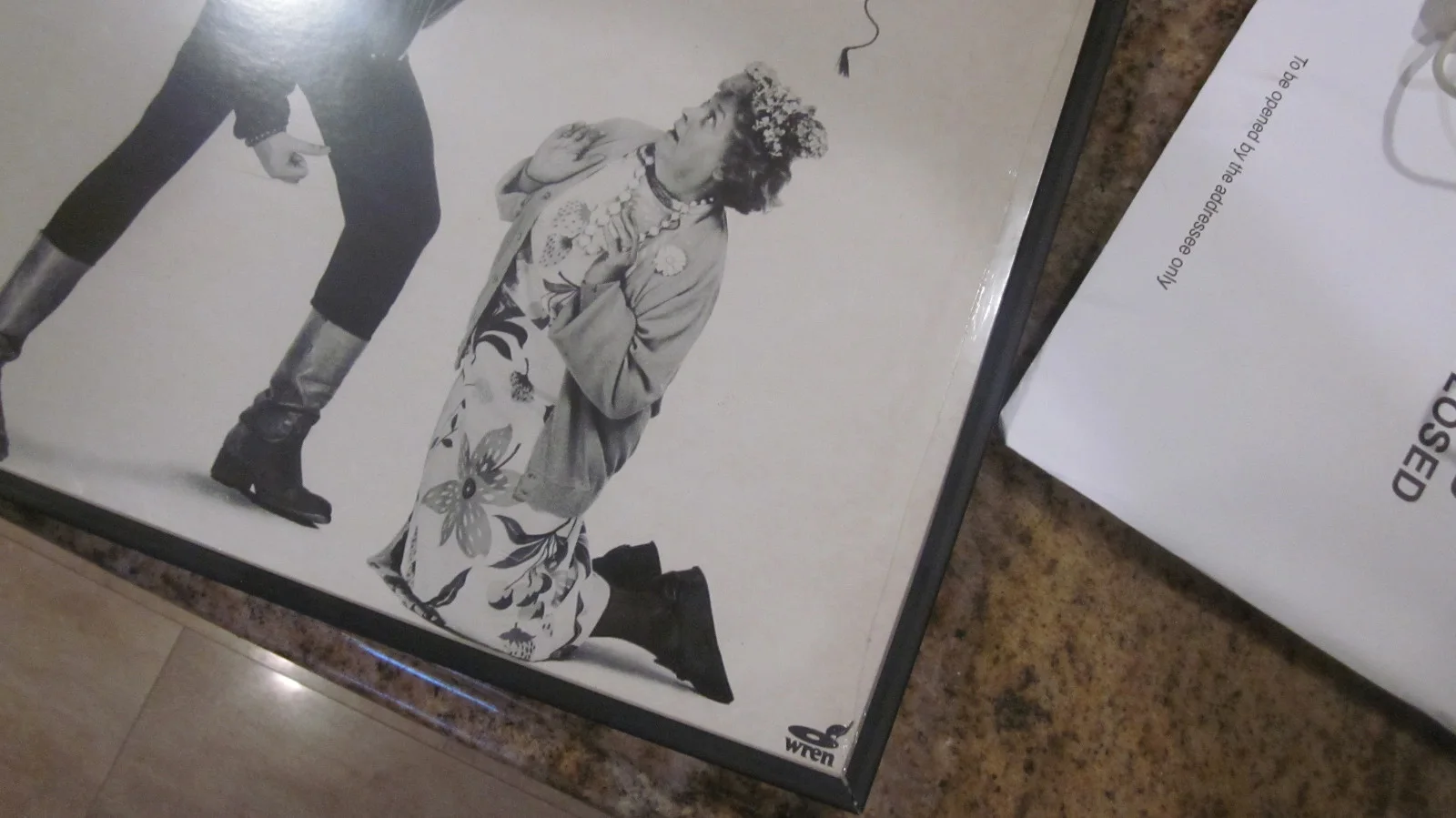 HOWARD STERN FRAMED L.P. RECORD 50 WAYS TO RANK YOUR MOTHER 1982 (FACTORY SEALED, изображение 5
