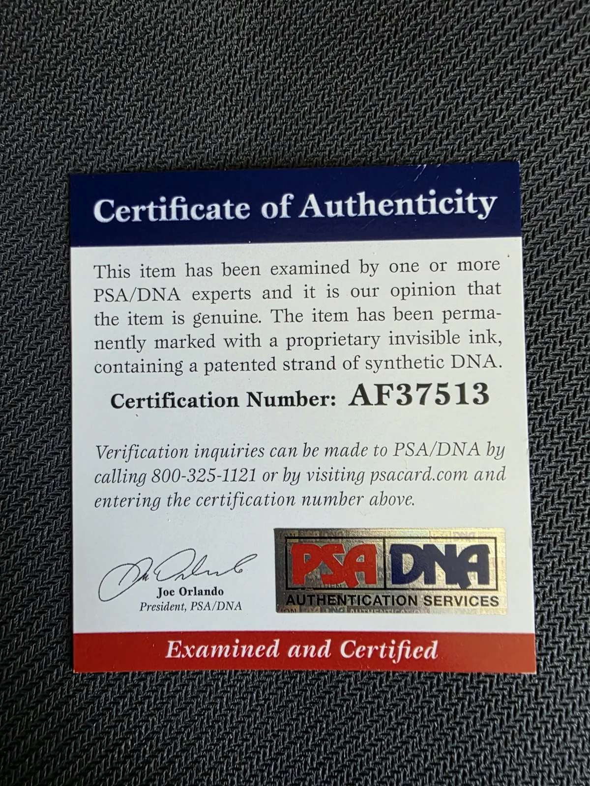 Walking Dead Script Signed by Andrew Lincoln - PSA DNA - Season 6 Finale, image 2