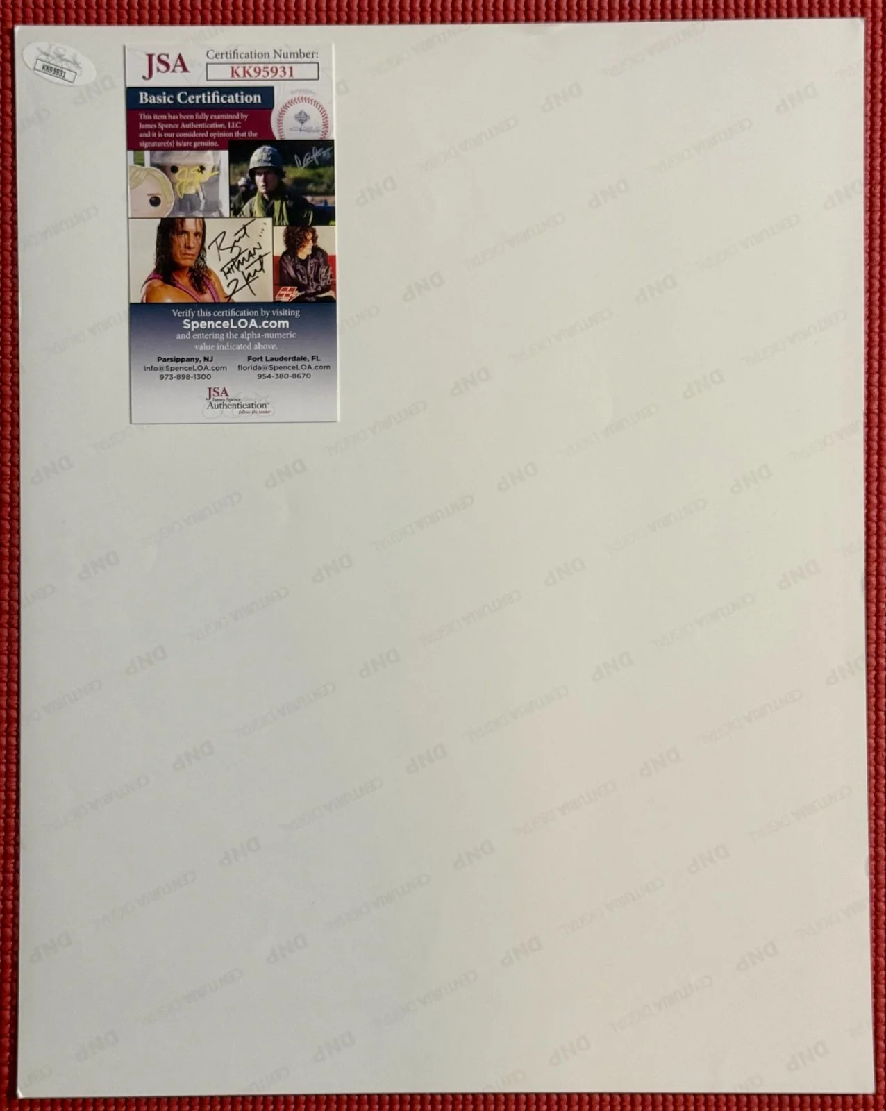 JSA COA signed 11"x 14" autographed PETER GABRIEL color photo GENESIS Mint, image 4
