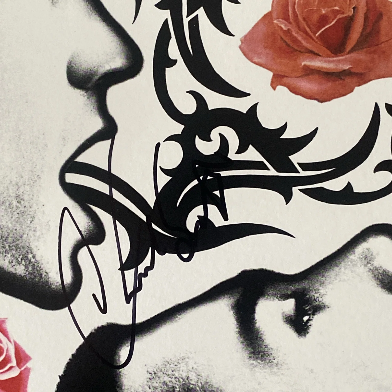 Chad Smith Autographed Vinyl Album Blood Sugar Sex Magik Red Hot Chilli Peppers, изображение 2