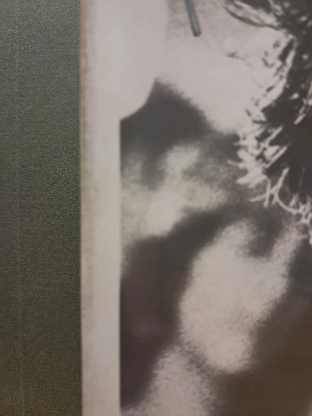 Blake — Robert Blake Photo Up for Grabs: Authentic Vintage Signed 8x10, изображение 2