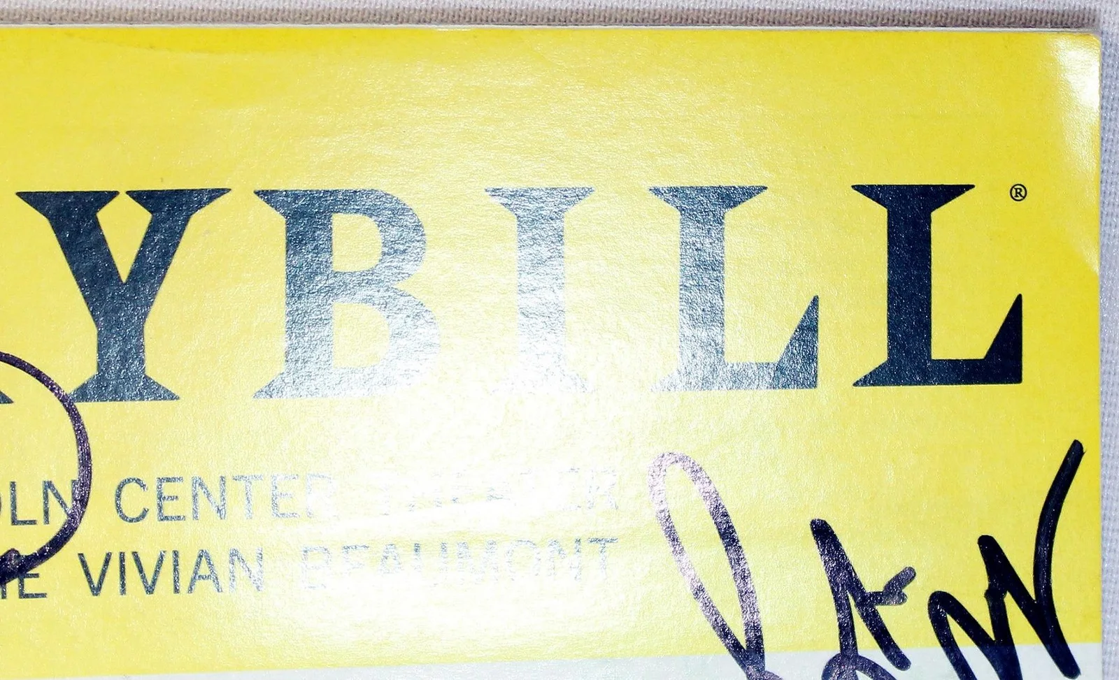 MCNEAL Full Broadway Cast Robert Downey Jr. Andrea Martin Signed Playbill, image 5