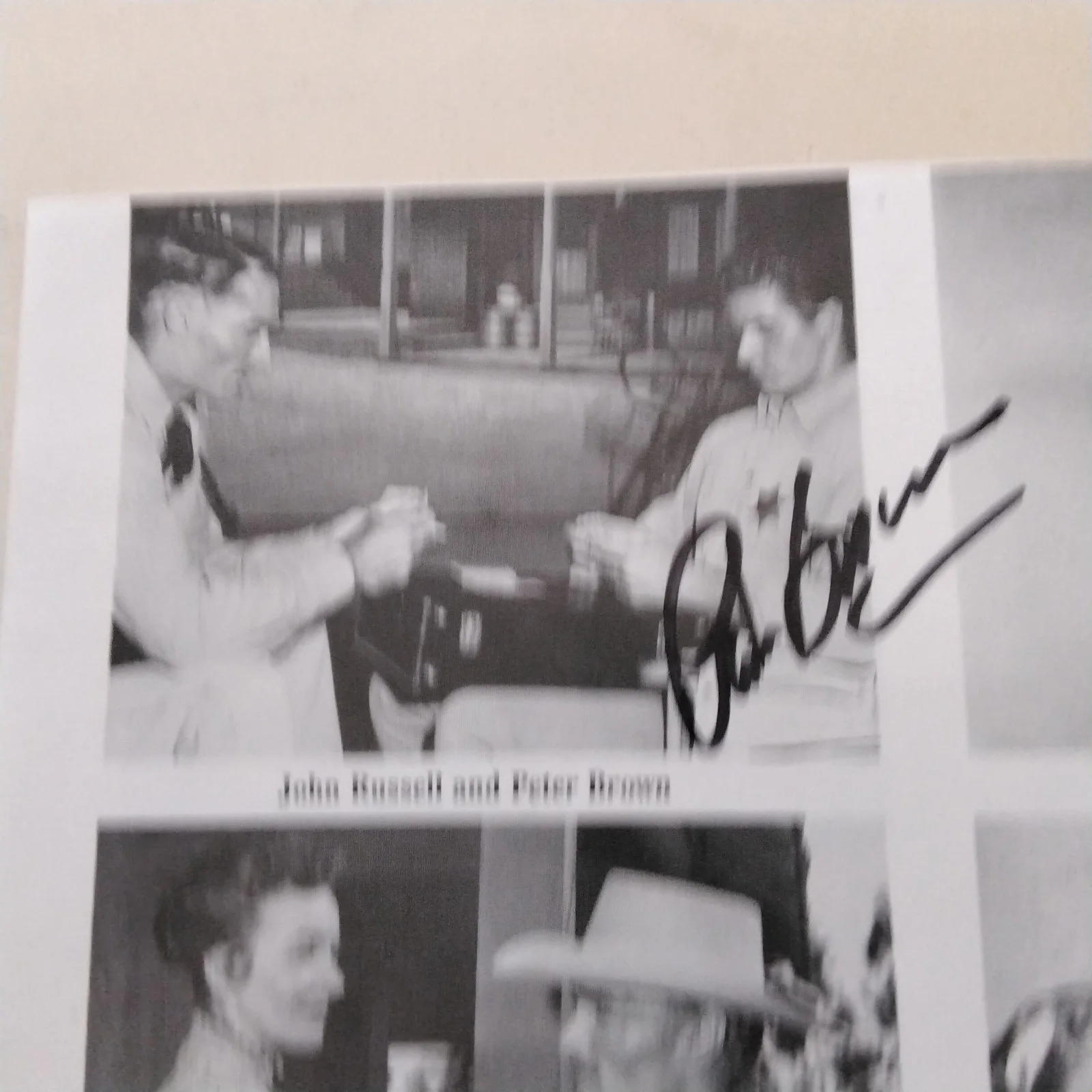 Peter Brown SIGNED Book Page Movie TV Actor Lawman Onionhead Piranha Wild Surf, изображение 3