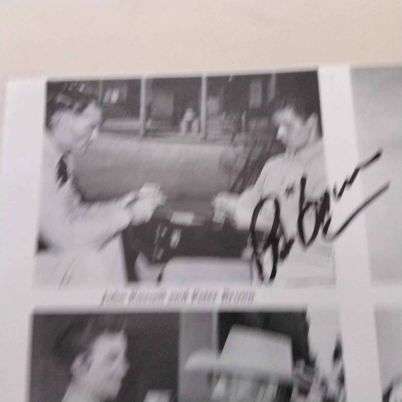 Peter Brown SIGNED Book Page Movie TV Actor Lawman Onionhead Piranha Wild Surf, изображение 4