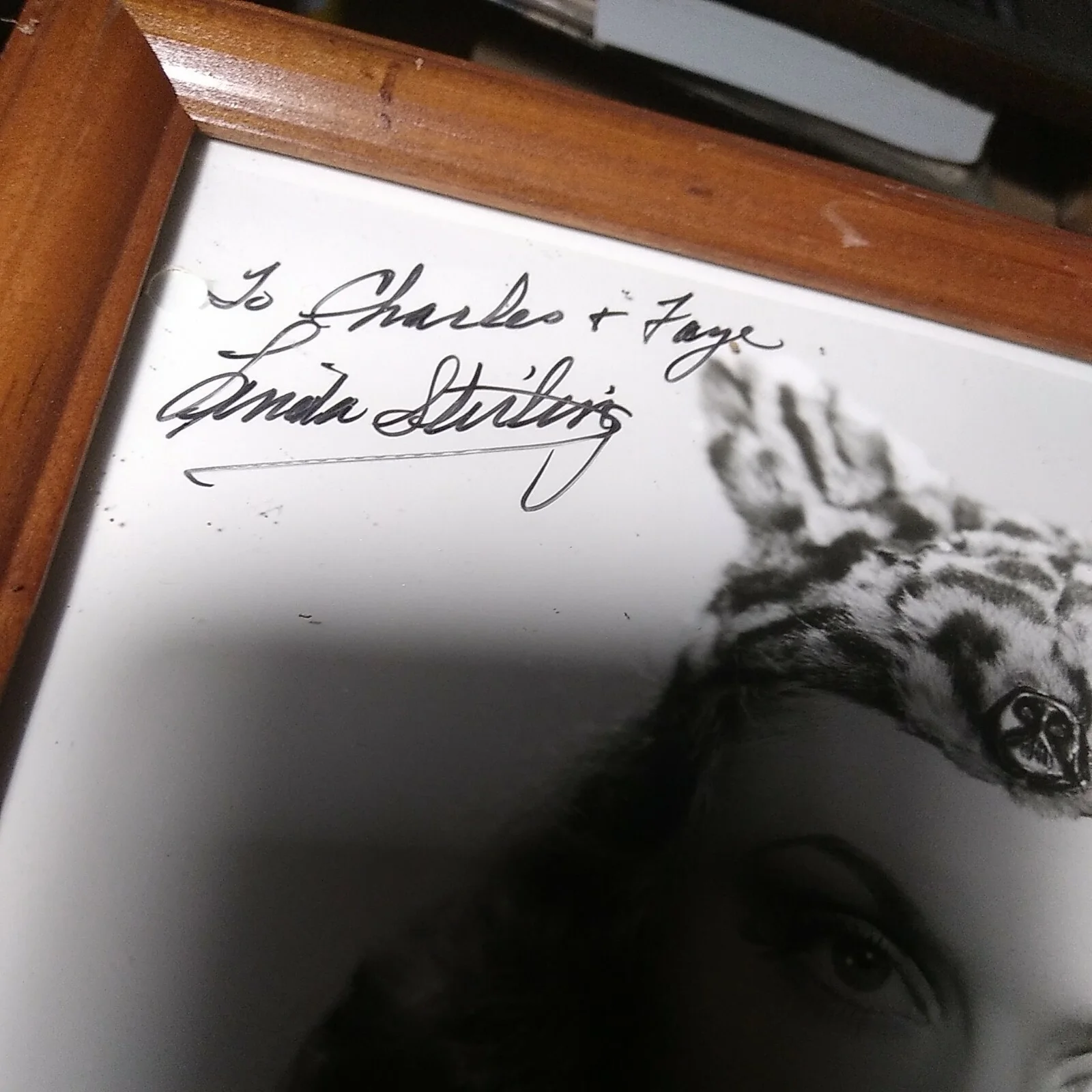 linda sterling — Autographed Linda Sterling "Tiger Woman" HandcSigned Vintage 8x10" UNFRAMED, image 4