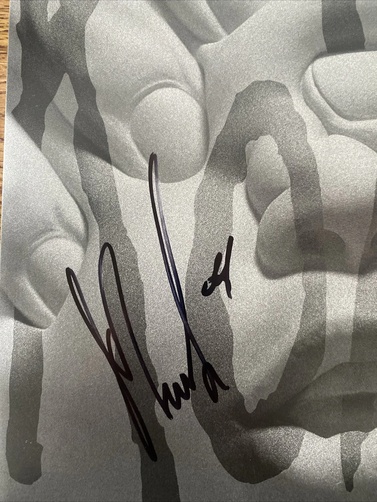 James Munky Shaffer Autographed Vinyl Album ‘Requiem’ Korn, image 2