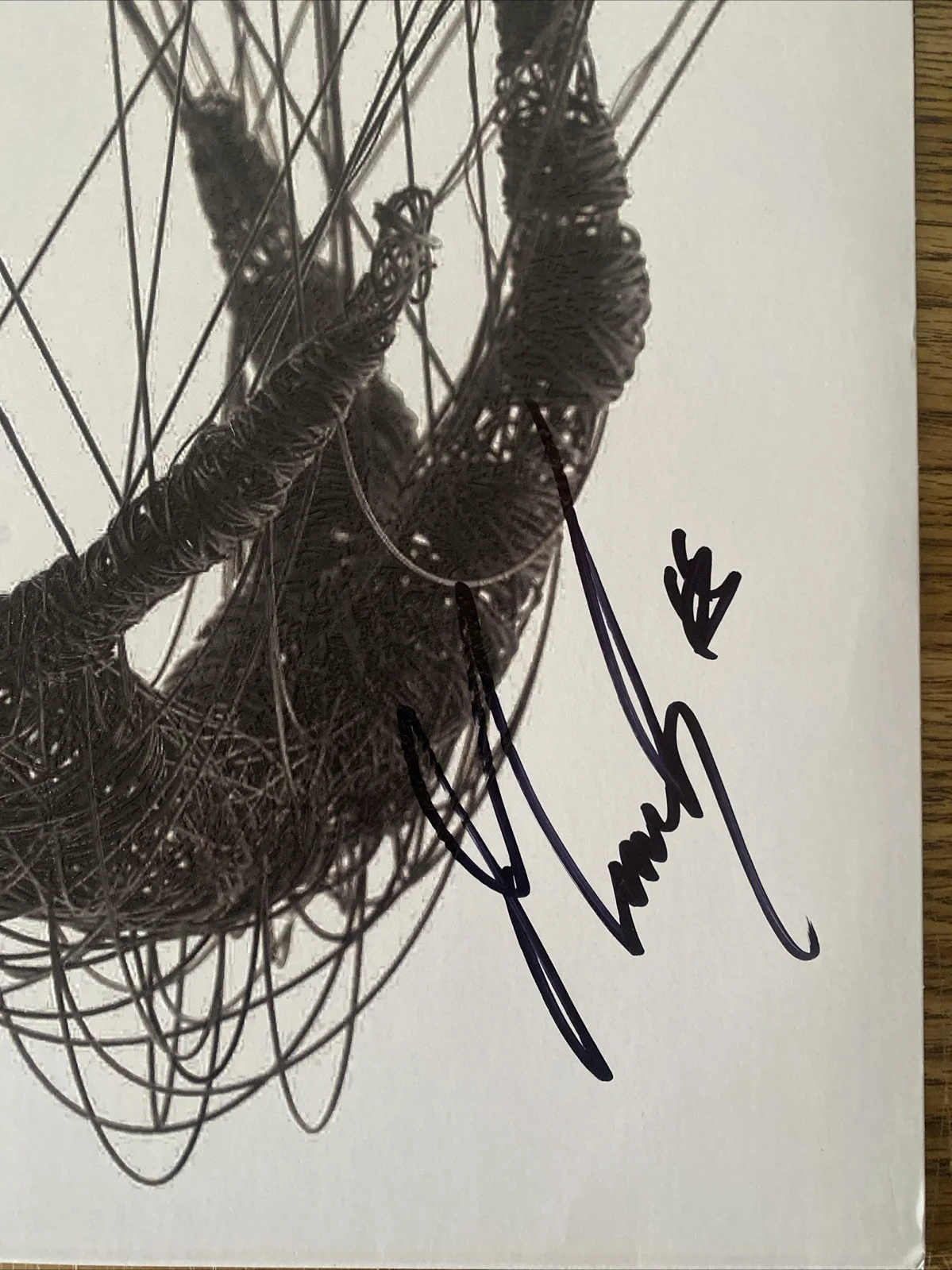 James Munky Shaffer Autographed Vinyl Album ‘The Nothing’ Korn, image 2