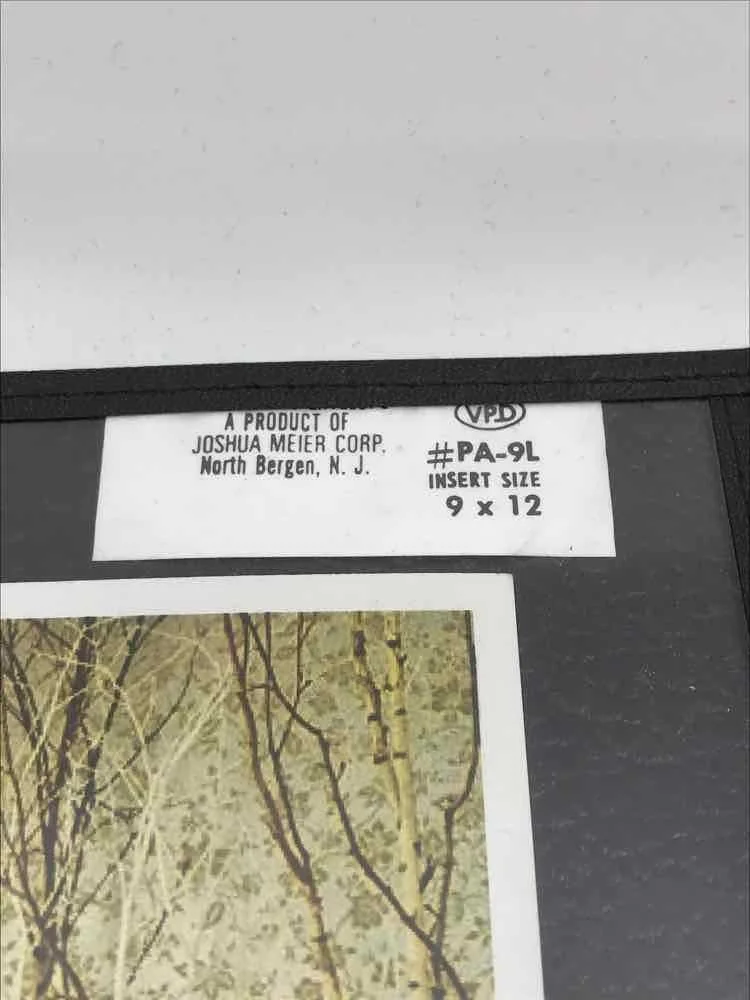 Desperate Housewives Signed Print- Authentic Xtreme Sports Memorabilia, изображение 4