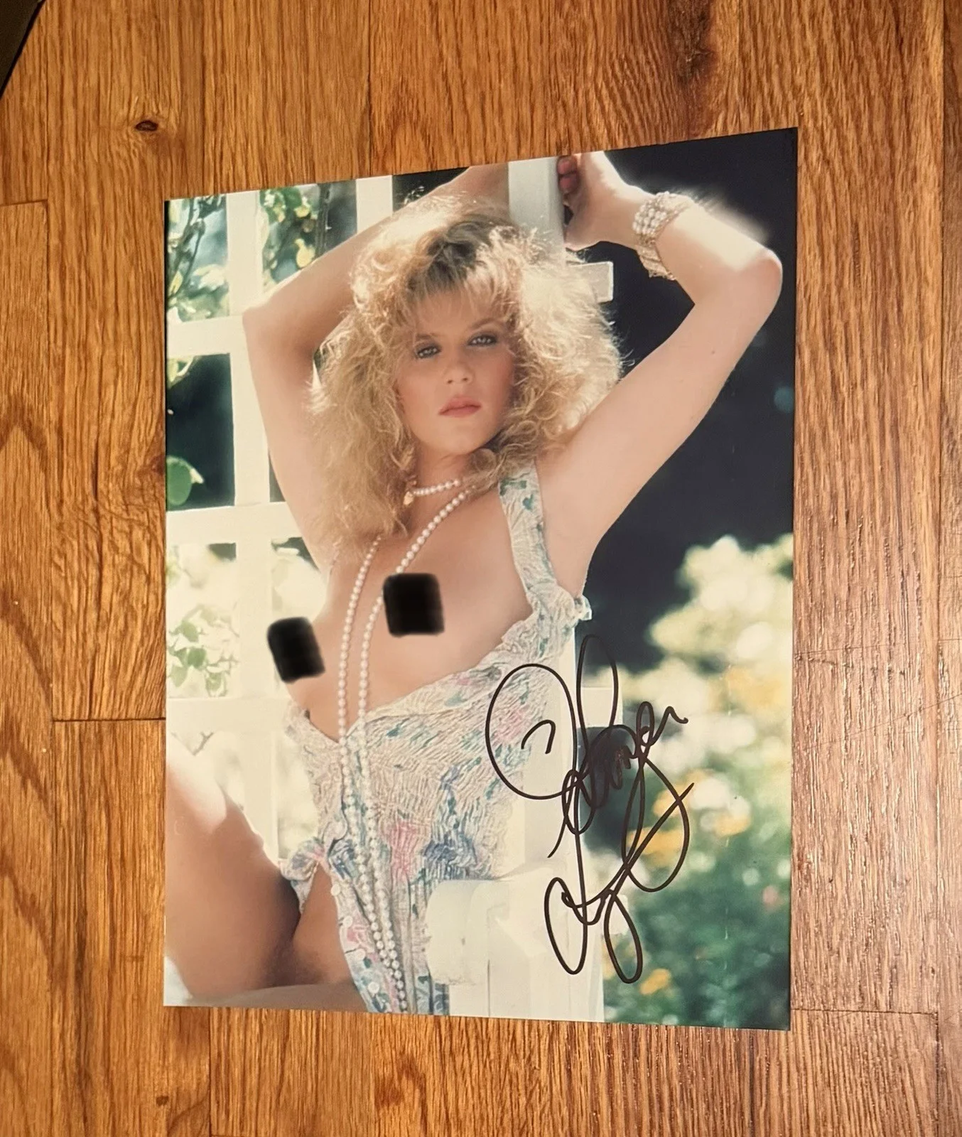 Ginger Lynn Allen — GINGER LYNN ALLEN Autograph 8x10 Photo Signed Adult Film Actress SEXY
