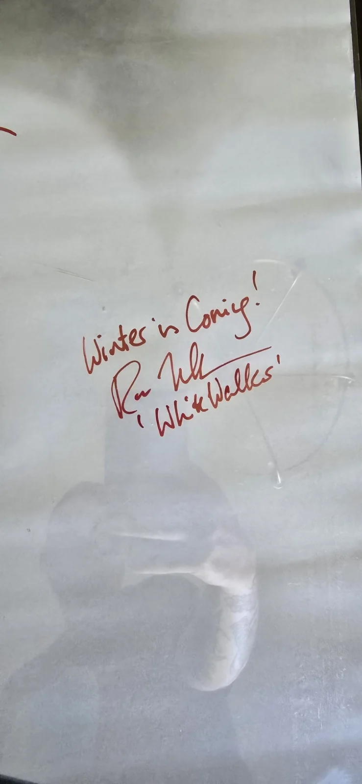 24x36 Signed Game of Thrones Poster 4 Autos Comic Con, image 3