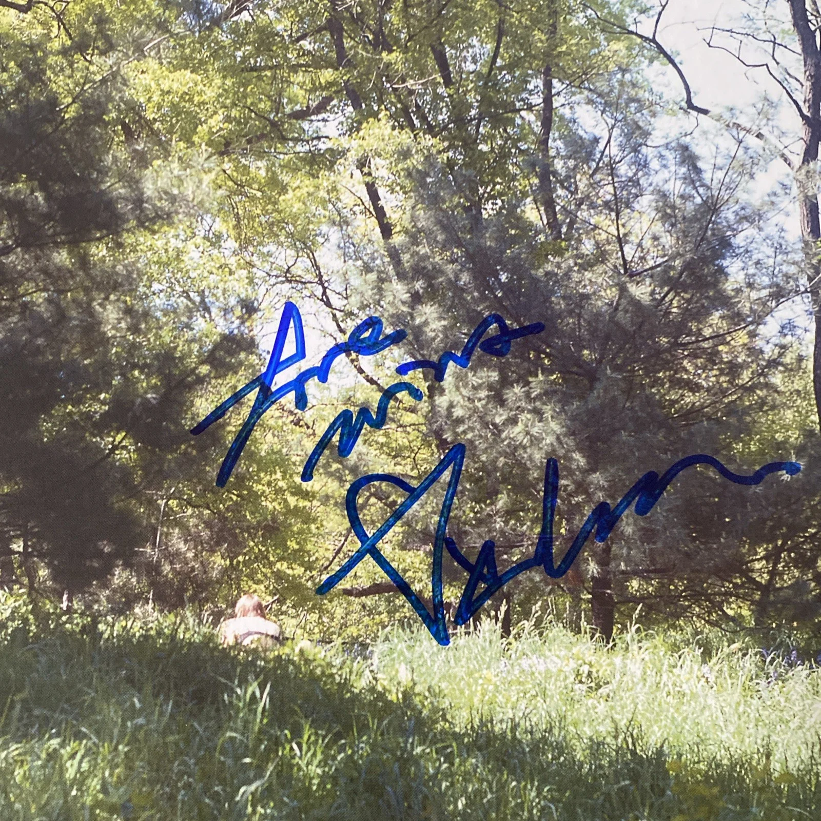 Cat Power Autographed Vinyl Album ‘You Are Free' Chan Marshall, изображение 2