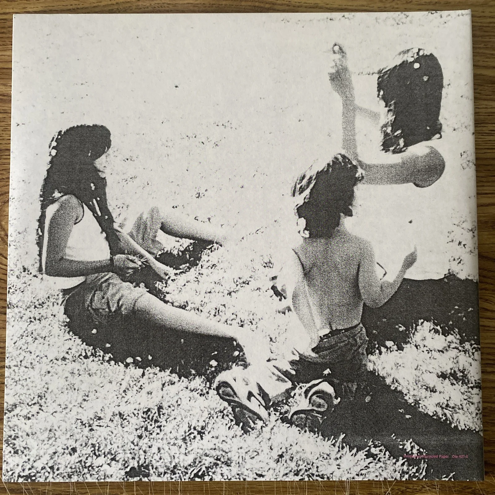 Cat Power Autographed Vinyl Album ‘You Are Free' Chan Marshall, изображение 3