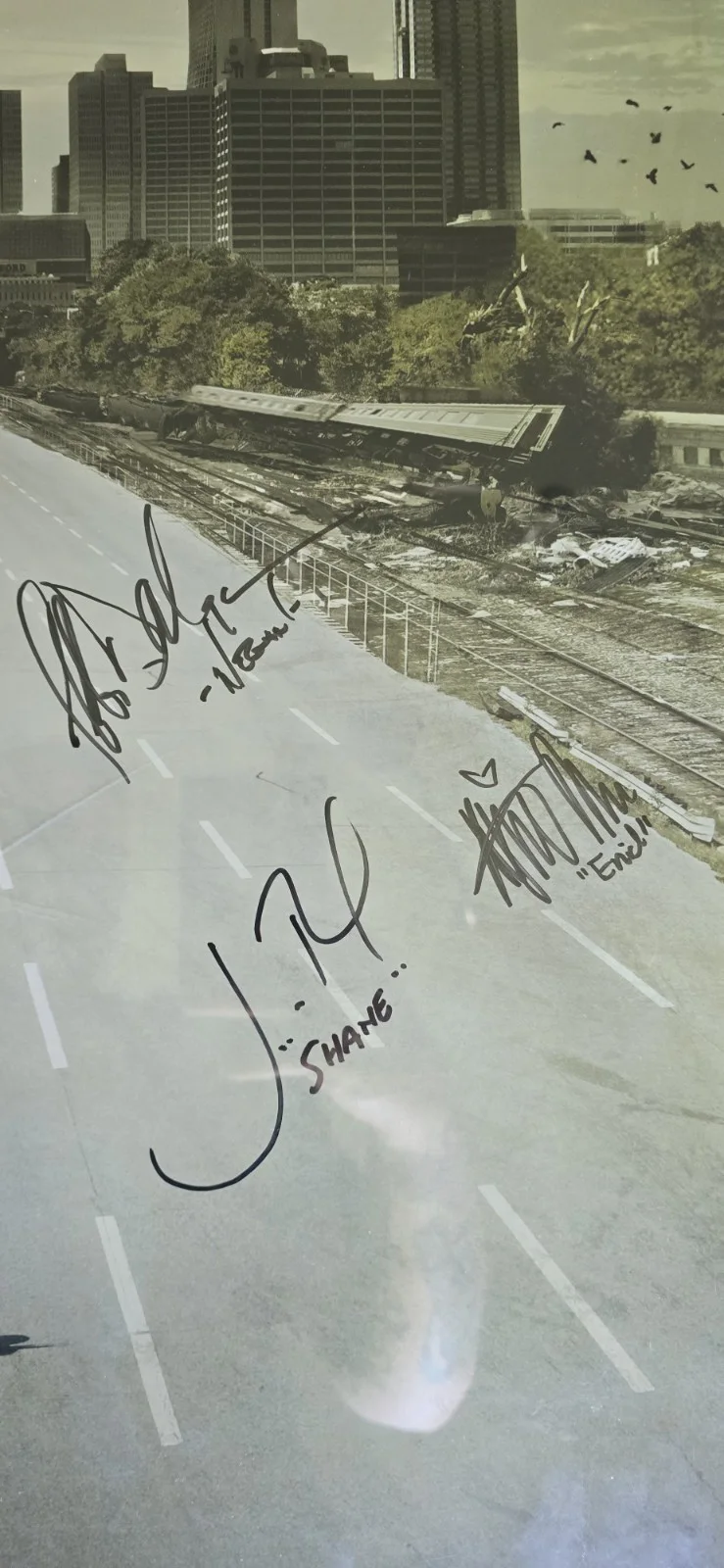The Walking Dead Cast Signed Full Sized 24x36 Poster 10x Autos Comic Con TWD, image 2