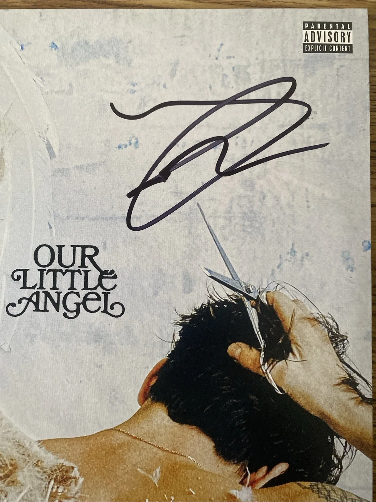 Role Model Autographed Vinyl Album ‘Our Little Angel’ Tucker Pillsbury, изображение 2