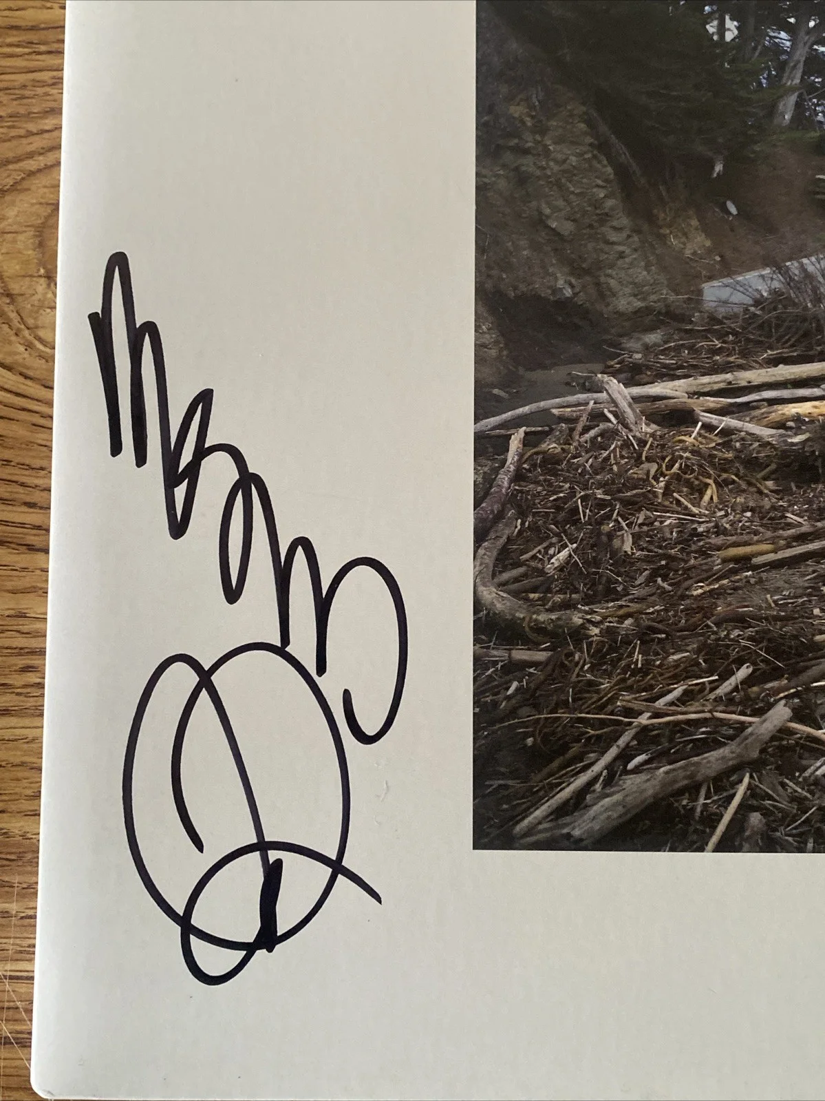 Mac DeMarco Autographed Vinyl Album ‘Five Easy Hot Dogs’, изображение 2
