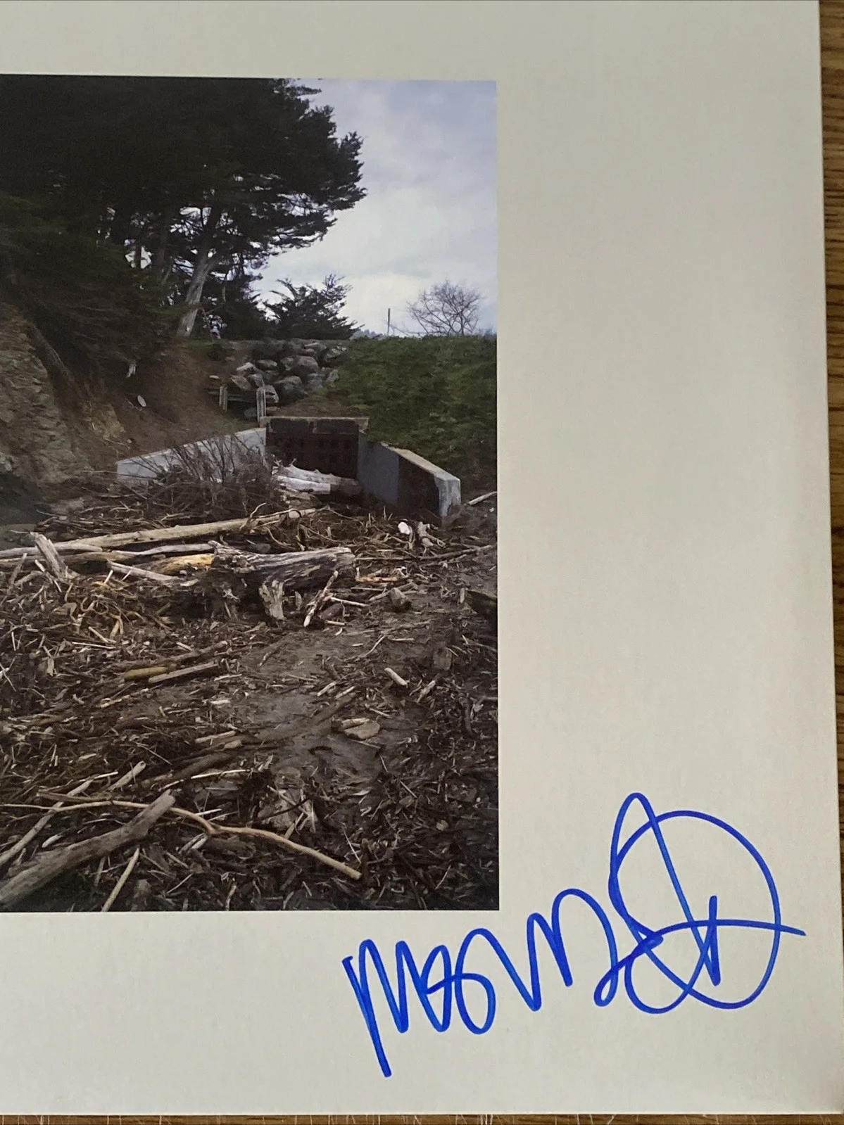 Mac DeMarco Autographed Vinyl Album ‘Five Easy Hot Dogs’, image 2