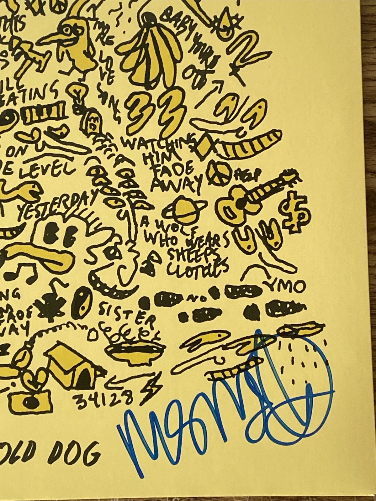 Mac DeMarco Autographed Vinyl Album ‘The Old Dog’, изображение 2
