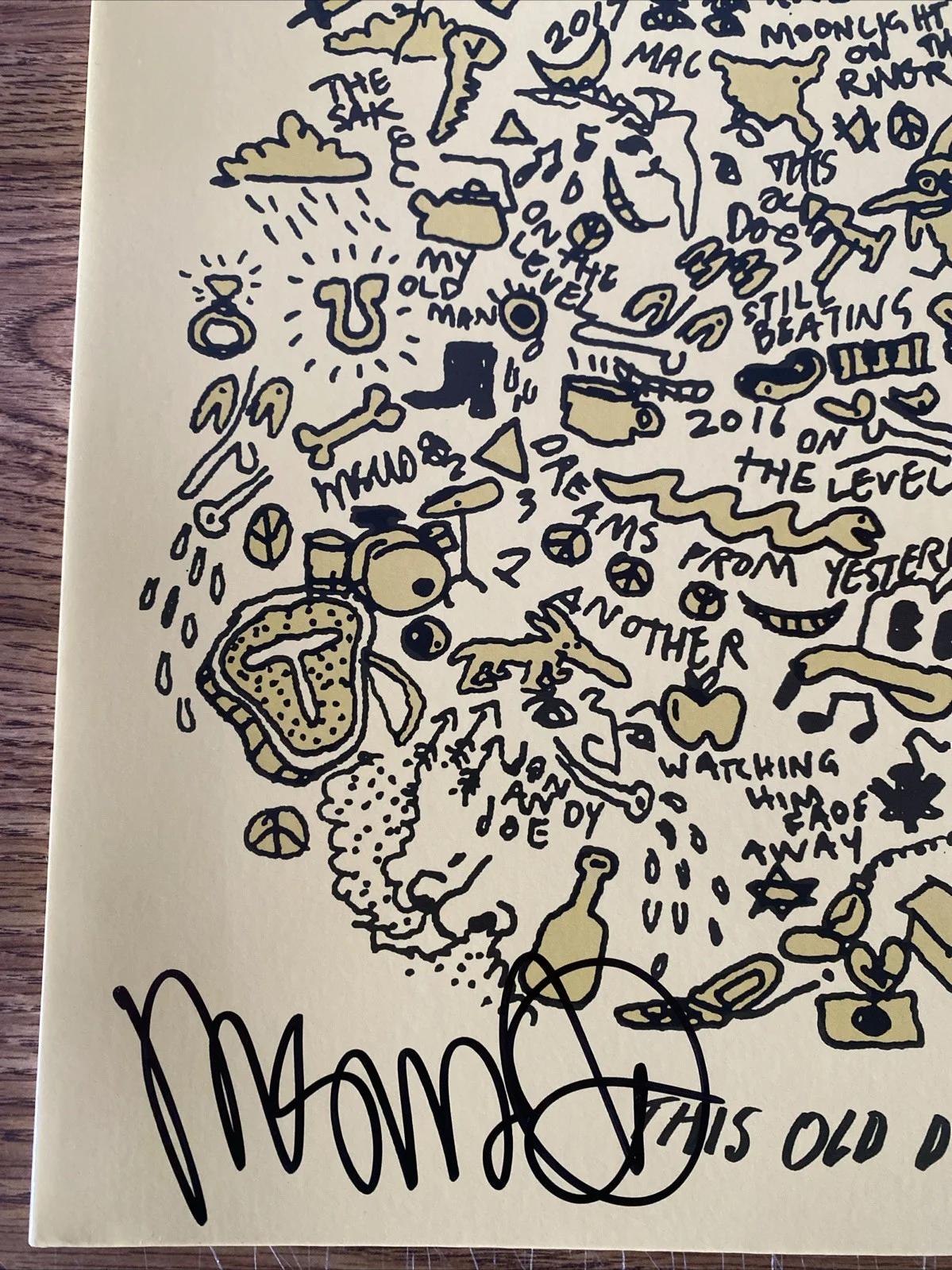 Mac DeMarco Autographed Vinyl Album ‘The Old Dog’, image 2