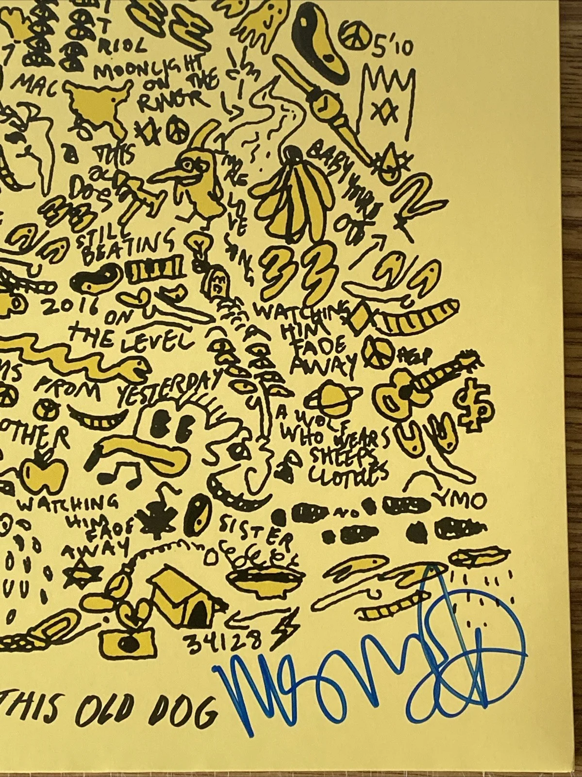 Mac DeMarco Autographed Vinyl Album ‘The Old Dog’, изображение 2